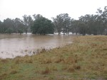 Floods 14 Jan 11 011