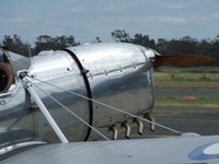 Temora Aviation Museum