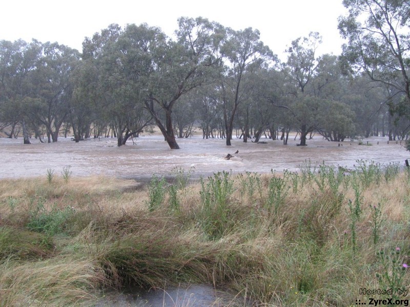 Floods 14 Jan 11 001