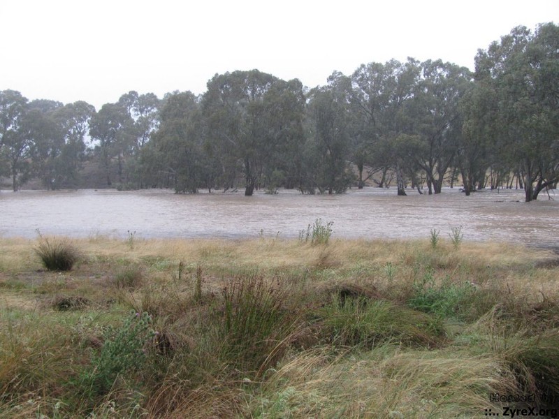 Floods 14 Jan 11 002