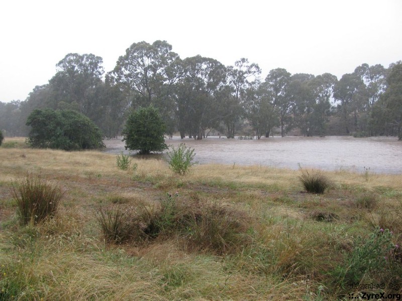 Floods 14 Jan 11 003