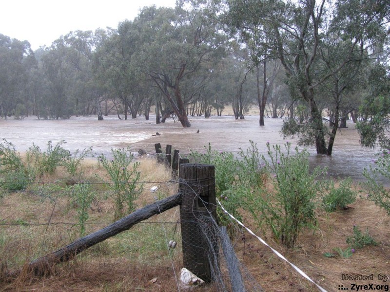 Floods 14 Jan 11 005