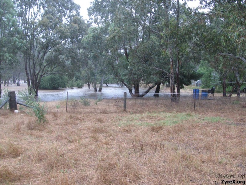 Floods 14 Jan 11 006