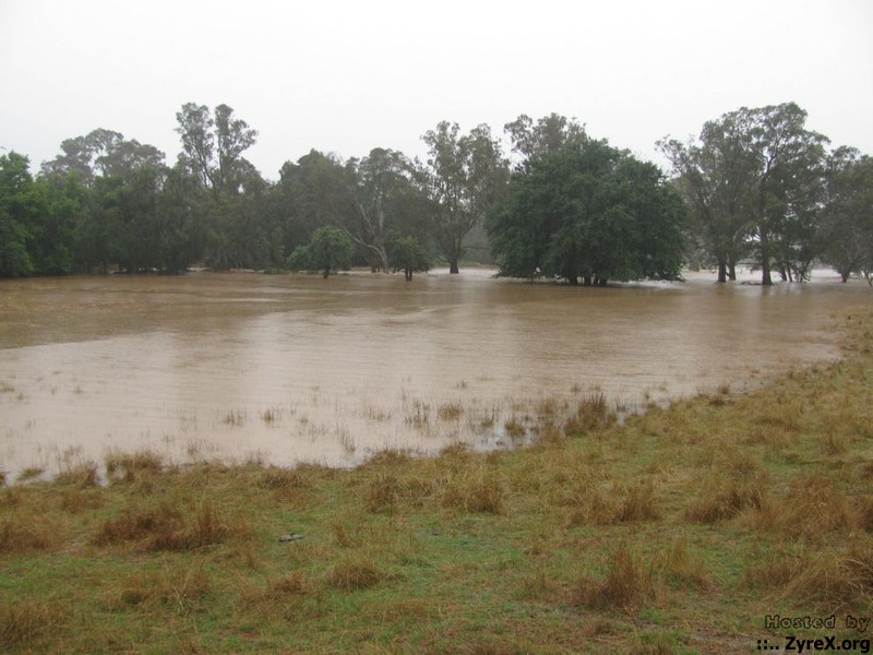 Floods 14 Jan 11 009