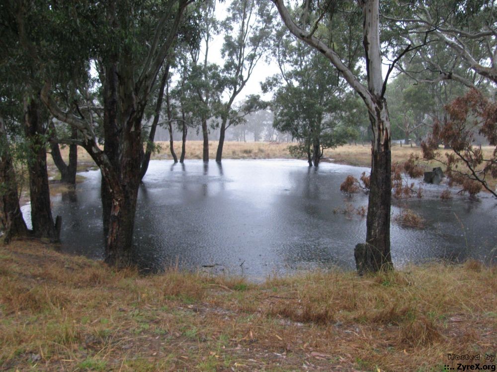 Floods 14 Jan 11 007