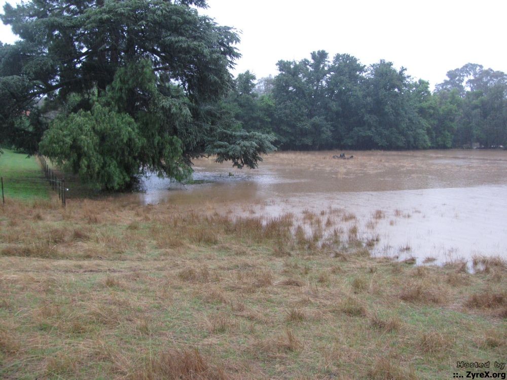 Floods 14 Jan 11 010