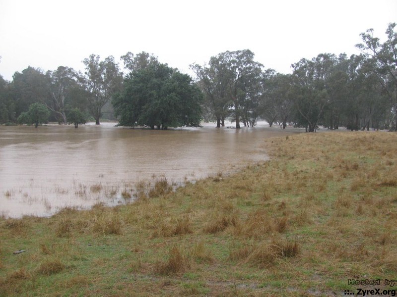 Floods 14 Jan 11 011