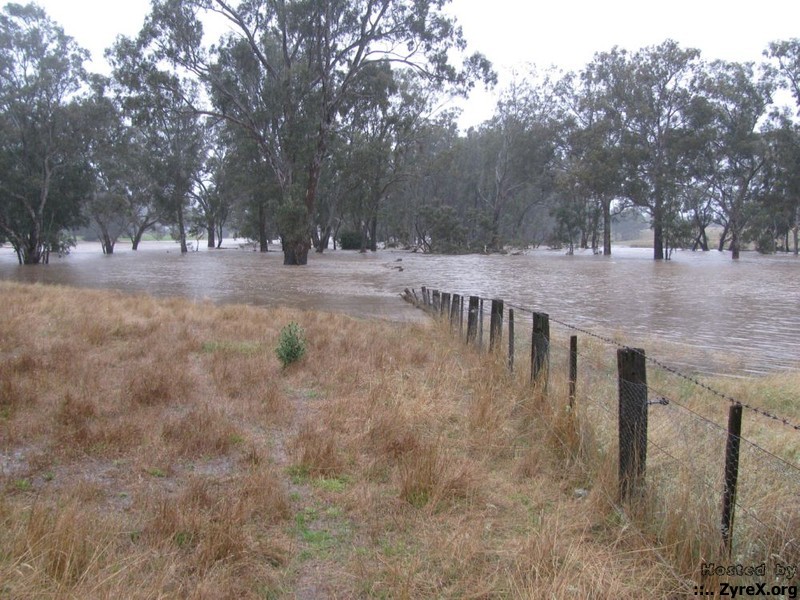 Floods 14 Jan 11 012