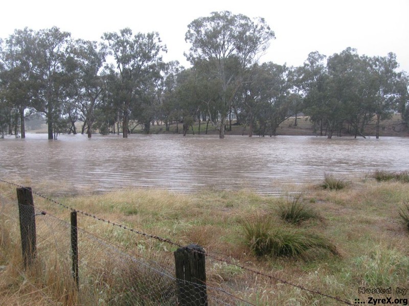 Floods 14 Jan 11 013