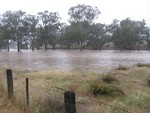 Floods 14 Jan 11 013