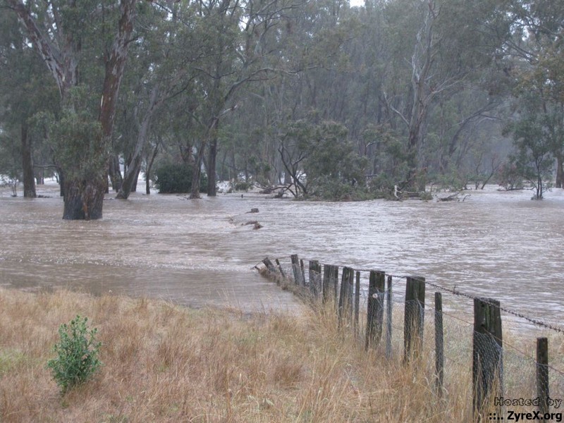 Floods 14 Jan 11 015