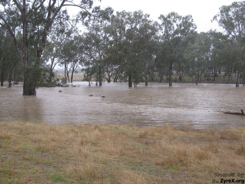 Floods 14 Jan 11 016