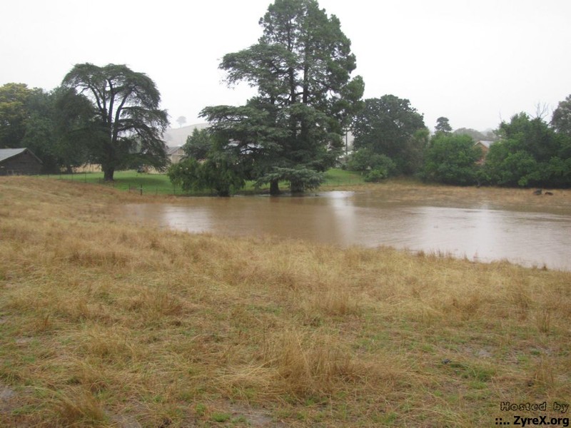 Floods 14 Jan 11 017