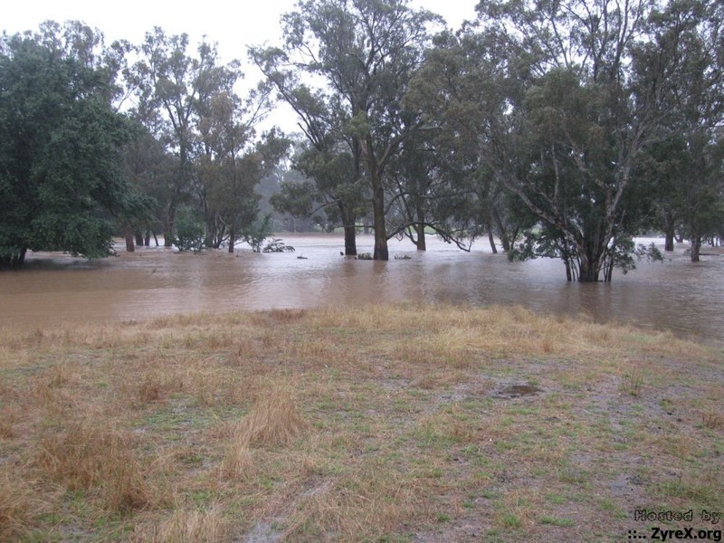 Floods 14 Jan 11 018