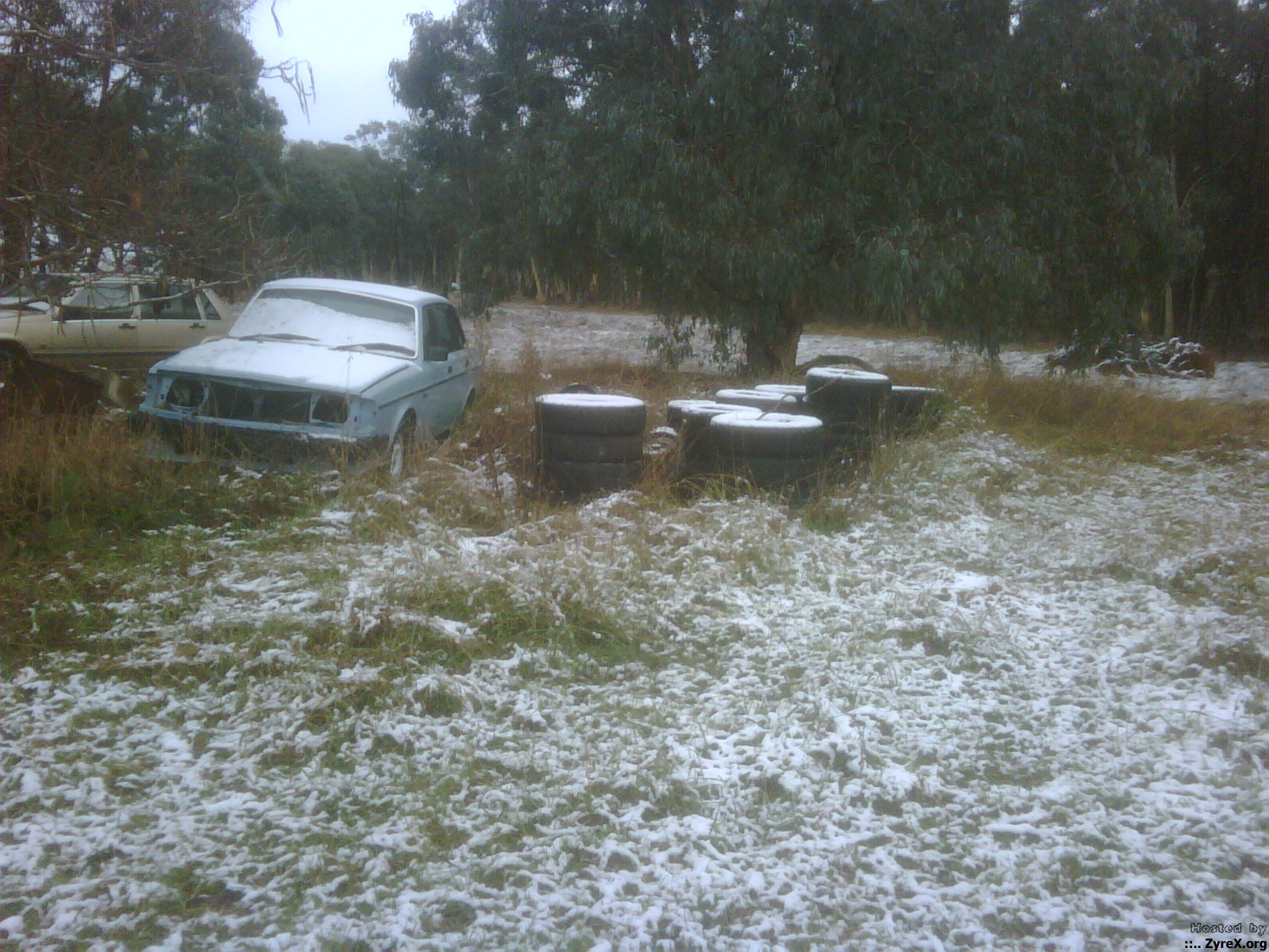 IMG00003-20110512-0858