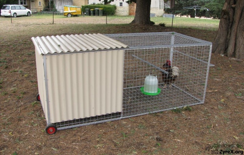 chook box 005