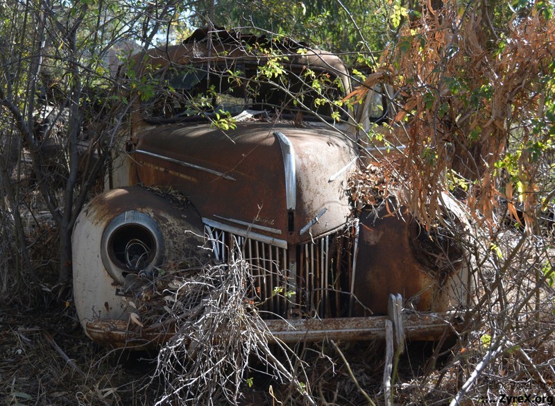 1939 Ford